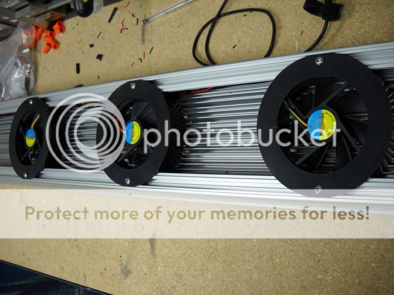 032_zps0760bcf4.jpg