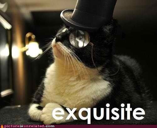 like-a-sir.jpg