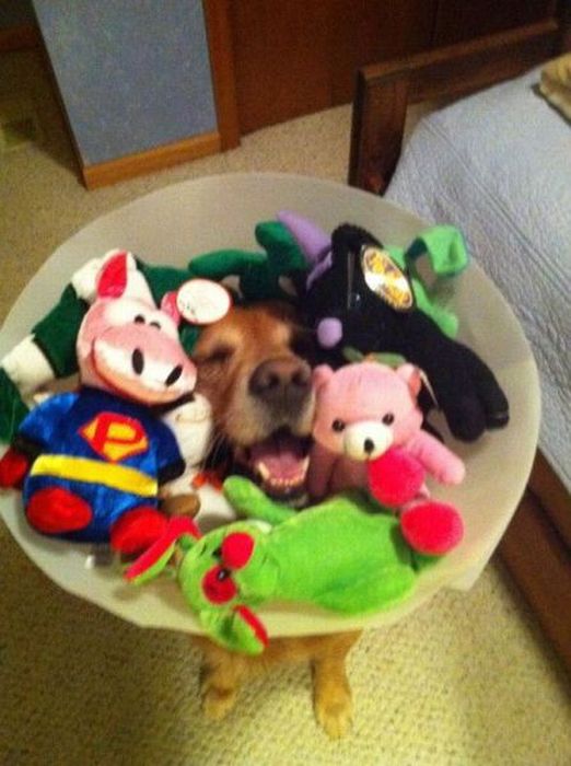 acid_picdump_37.jpg