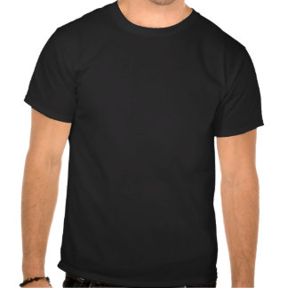 the_bear_in_the_moon_tees-re29e6931929d448b8cd07550ffb91e86_va6lr_324.jpg