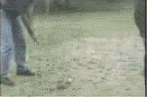 oMhA3.gif