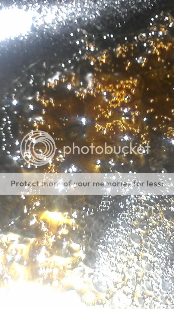 IMAG0854_zps155a3c7b.jpg