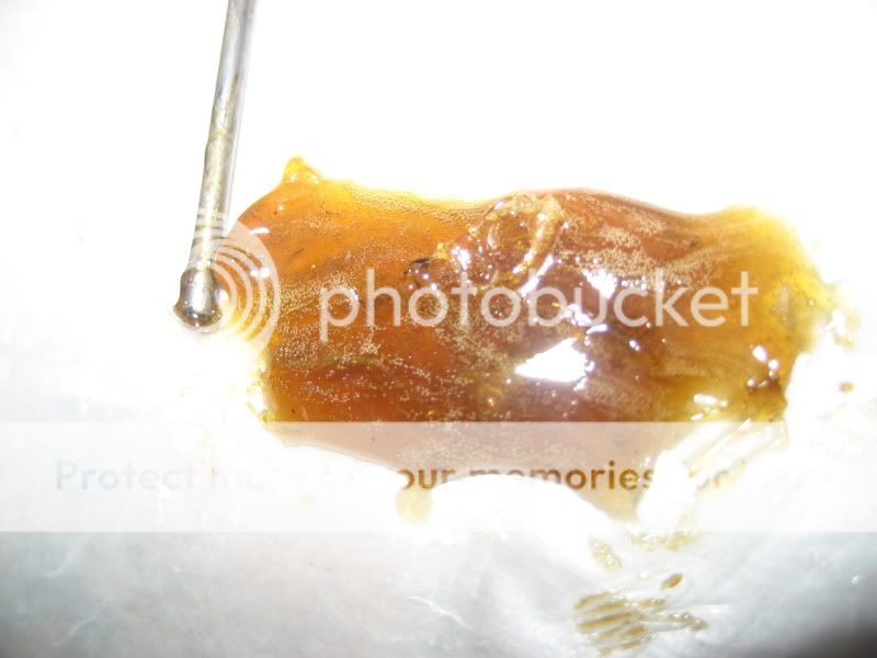 IMG_8332.jpg