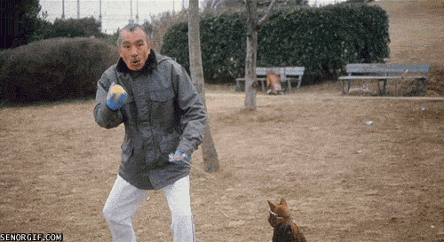 gifs_14.gif