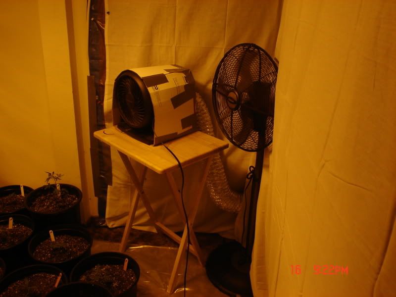 Picture034.jpg