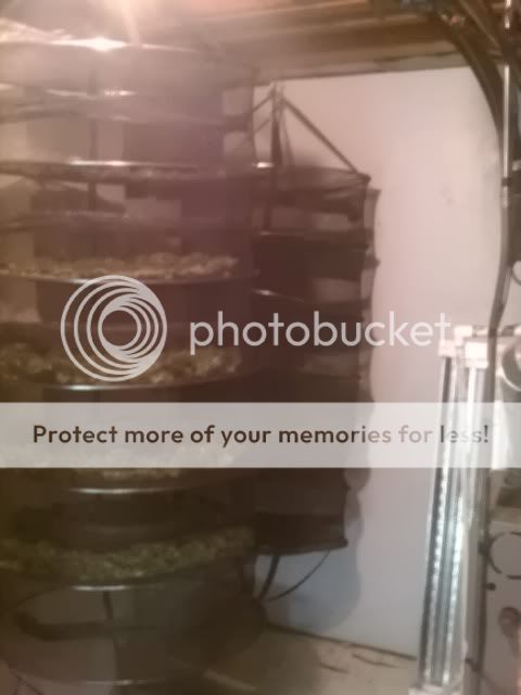 IMAG0627.jpg