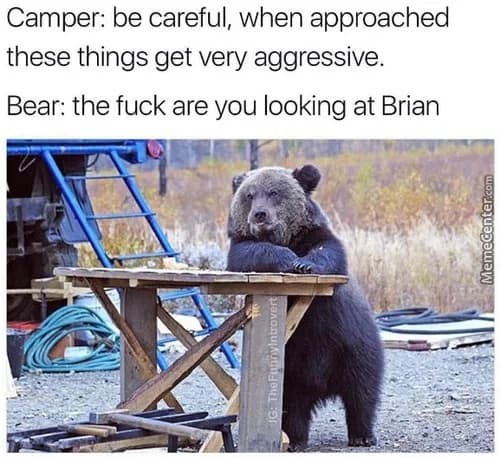 camping-with-bears.jpg