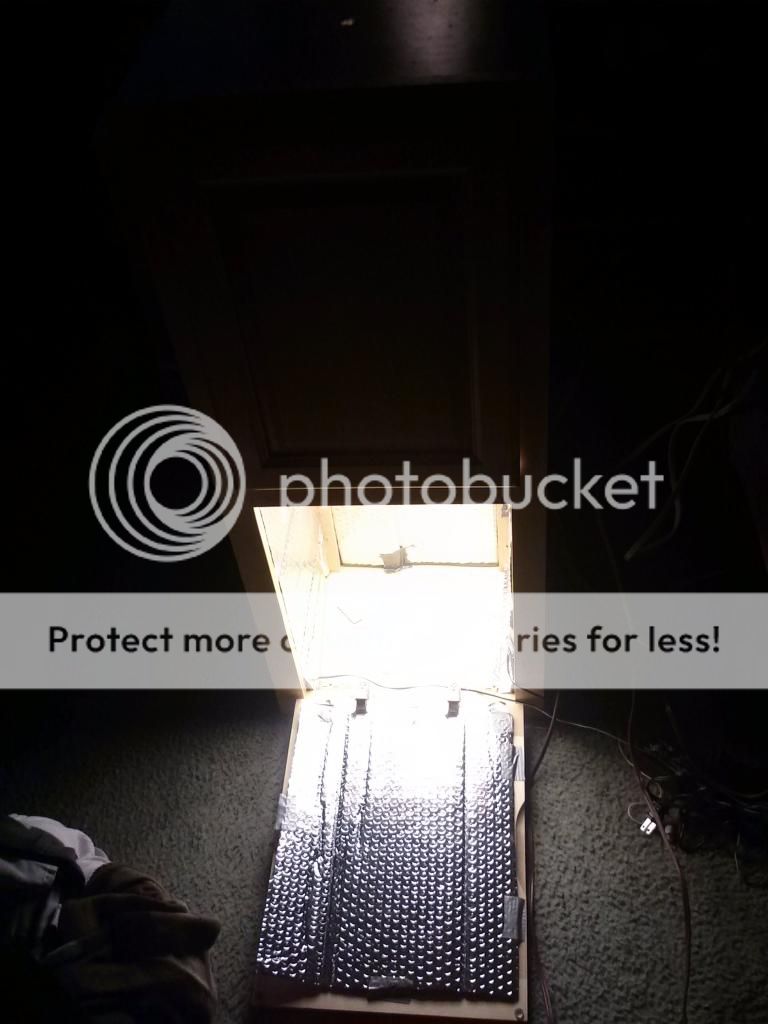 0111132115_zps4500be8d.jpeg