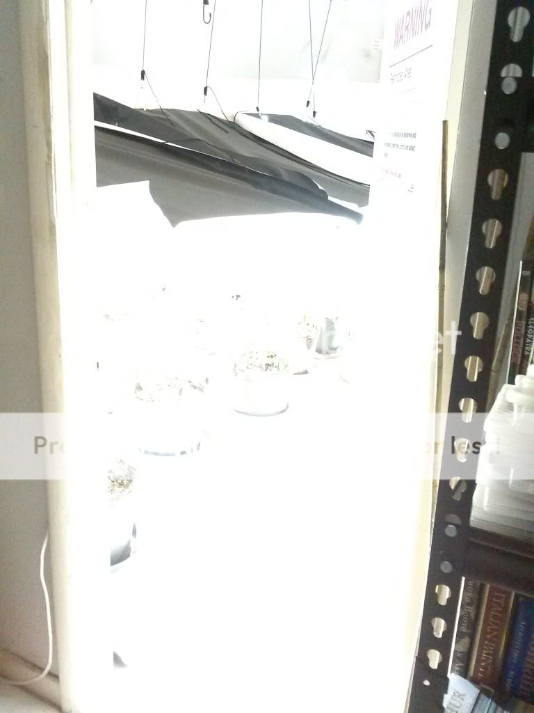 CAM00838_zpsfa32566b.jpg