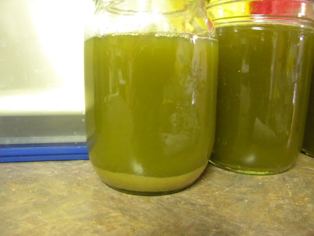 DSCN0730.jpg