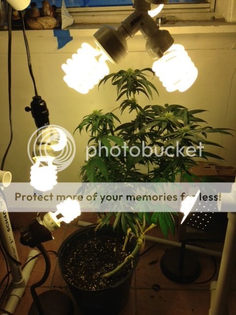 image_zps9aef7829.jpeg