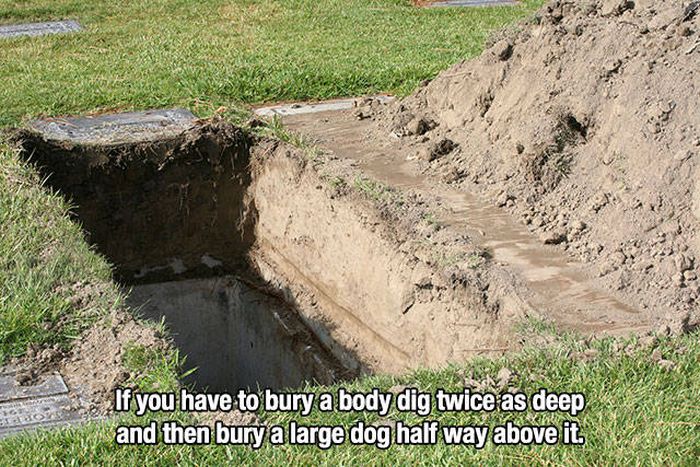 lifehacks_15.jpg
