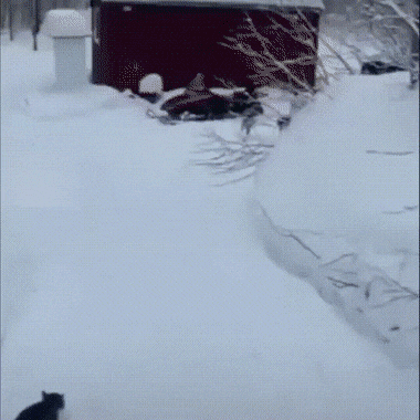 1644303030_gifs_21.gif