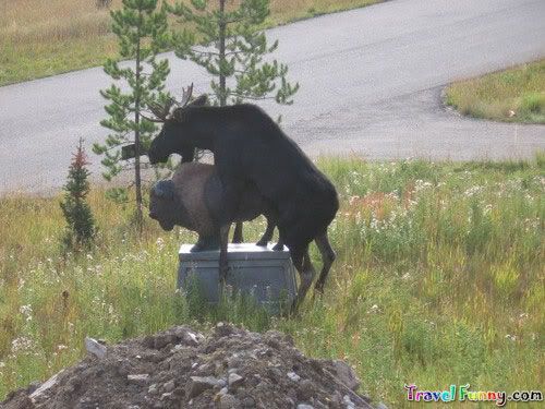 funny-canada-02.jpg