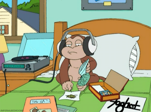 tumblr_m7jwdkRM4T1rzj3o2o1_500.gif