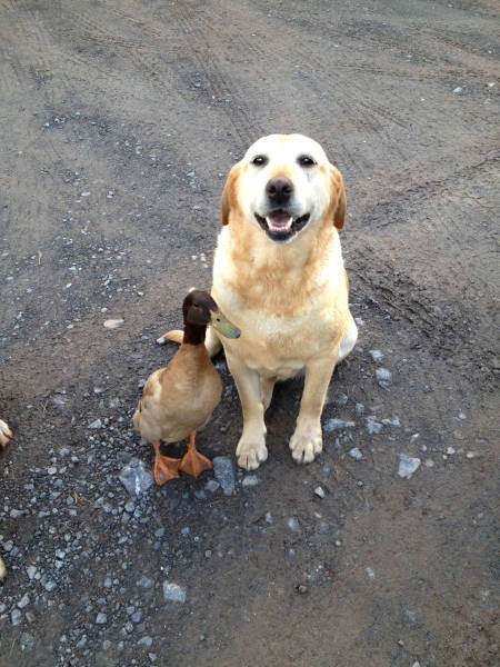 acid_picdump_73.jpg