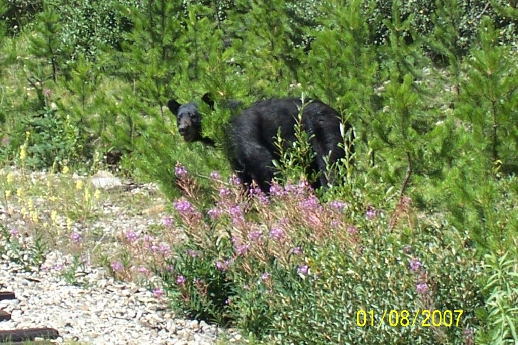 100_0845.jpg