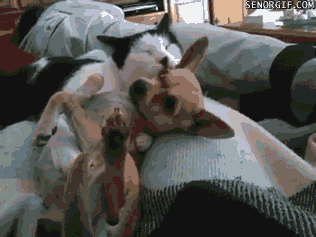 gifs_07.gif