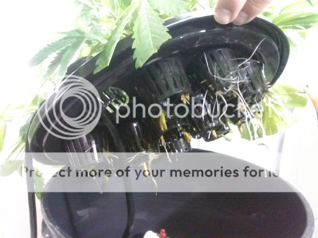 CAM00189_zps0126c017.jpg