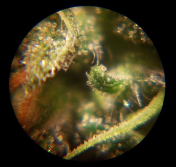 102_6610.jpg