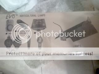0602091632a_17809.jpg