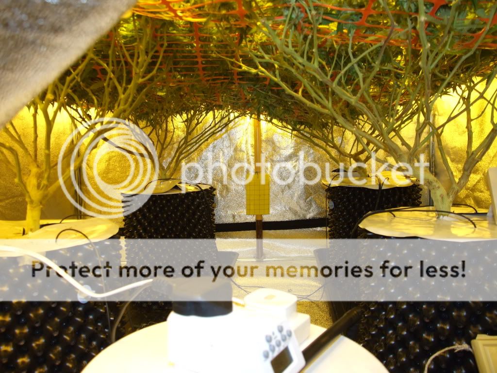 Project2012003-1.jpg
