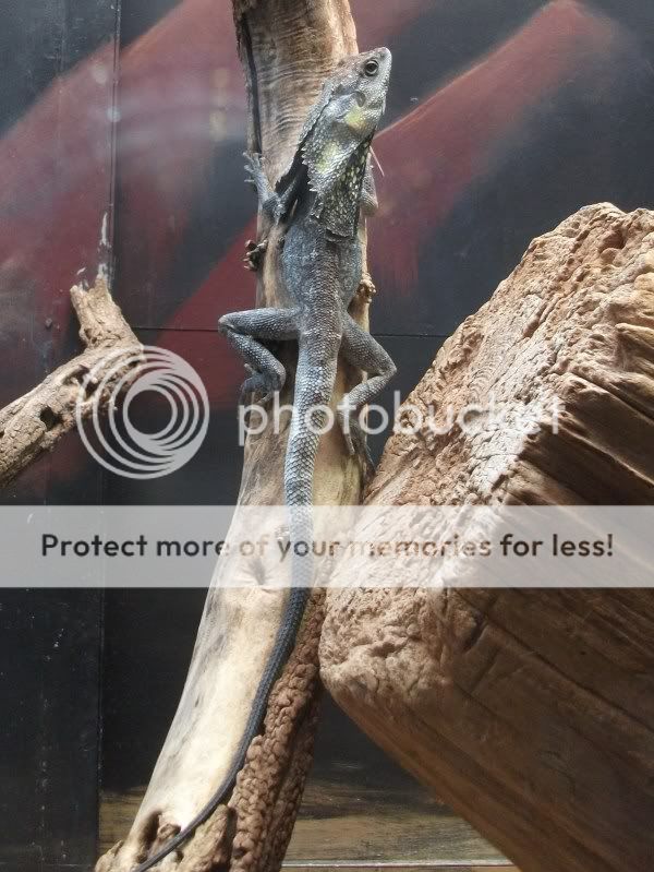 DSCF4900.jpg