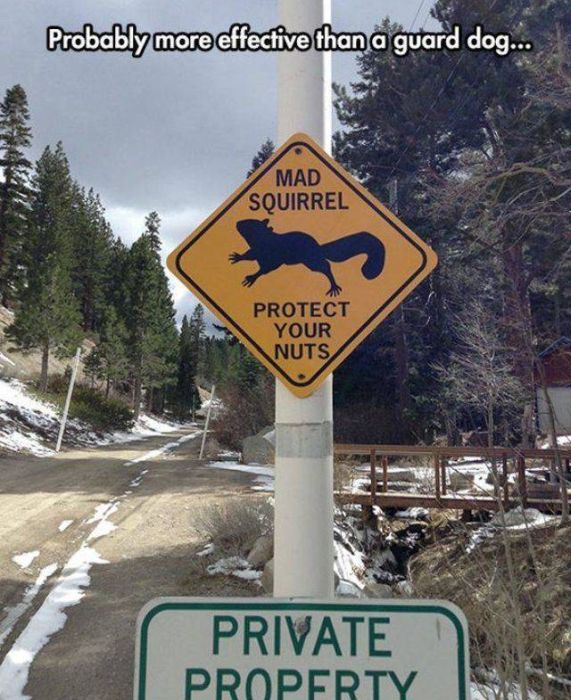 acid_picdump_36.jpg