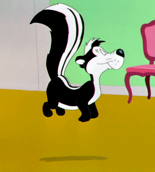 tumblr_od8ni7s87q1s2wio8o1_500.gif