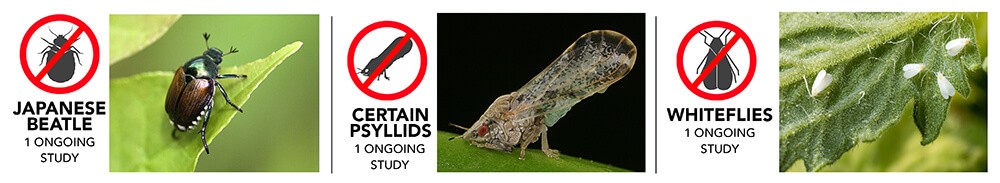 InsectPhotos3-Web.jpg