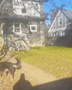 gifs_23.gif