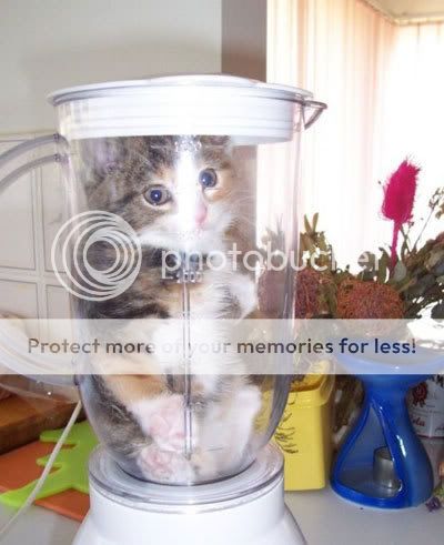 blender.jpg
