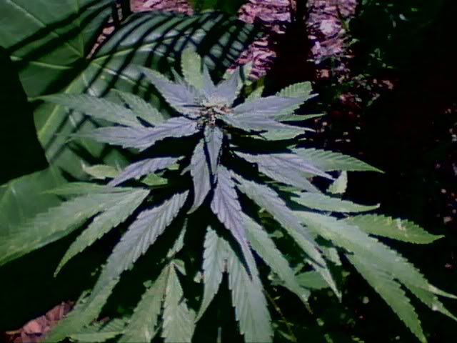 0824081355.jpg
