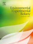 www.sciencedirect.com