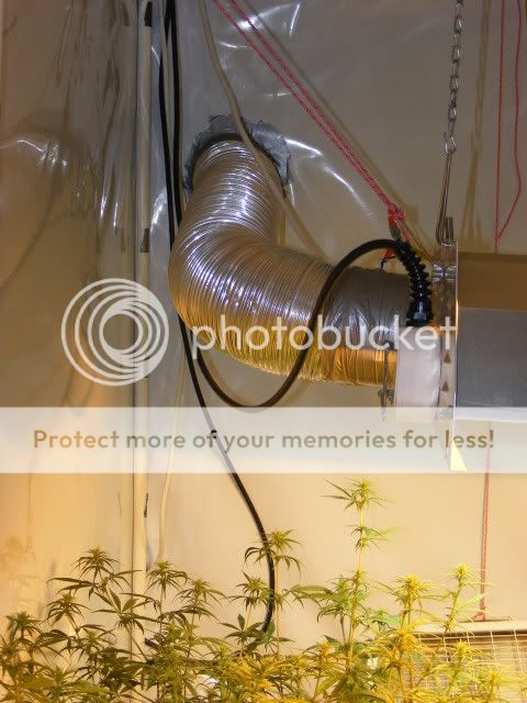 projects006-2.jpg