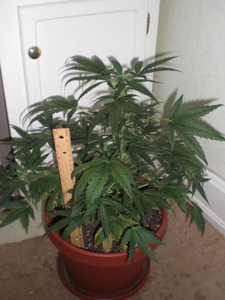 Oct21008.jpg