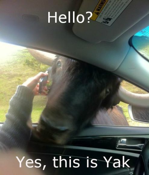 acid_picdump_112.jpg