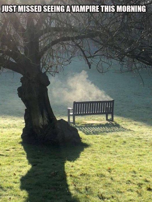 acid_picdump_28.jpg
