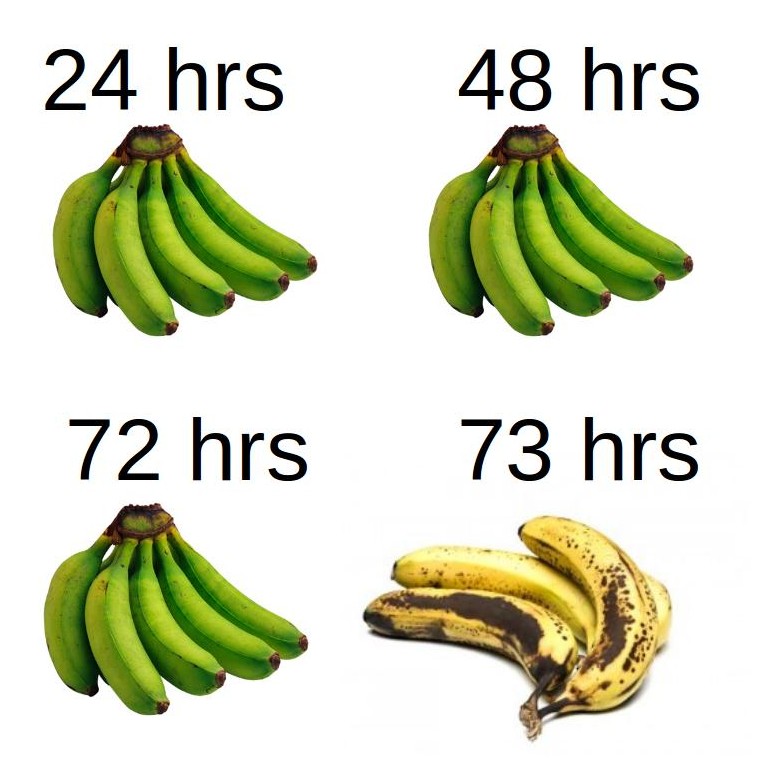 Hwiexz5.jpg