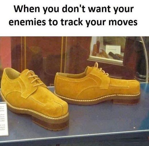 85368326.jpg