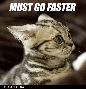 lolcatsdotcomq7px8bs8q4fl58up.jpg