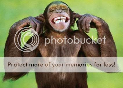 funny_monkey.jpg