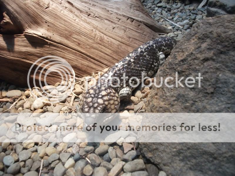 DSCF4901.jpg