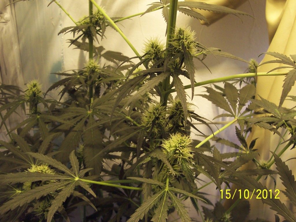 100_2759.jpg