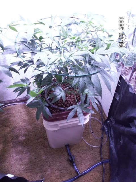 PICT0380.jpg