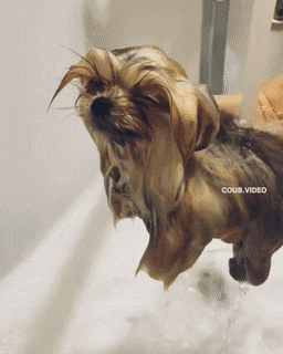 1665065136_10.gif