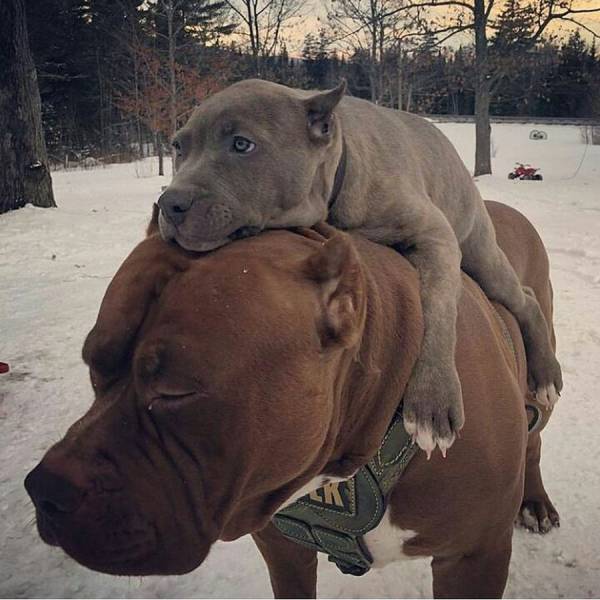 acid_picdump_68.jpg