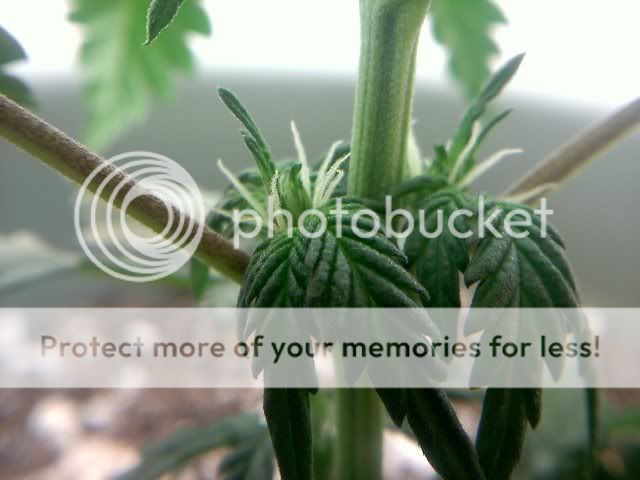 20120120211344.jpg