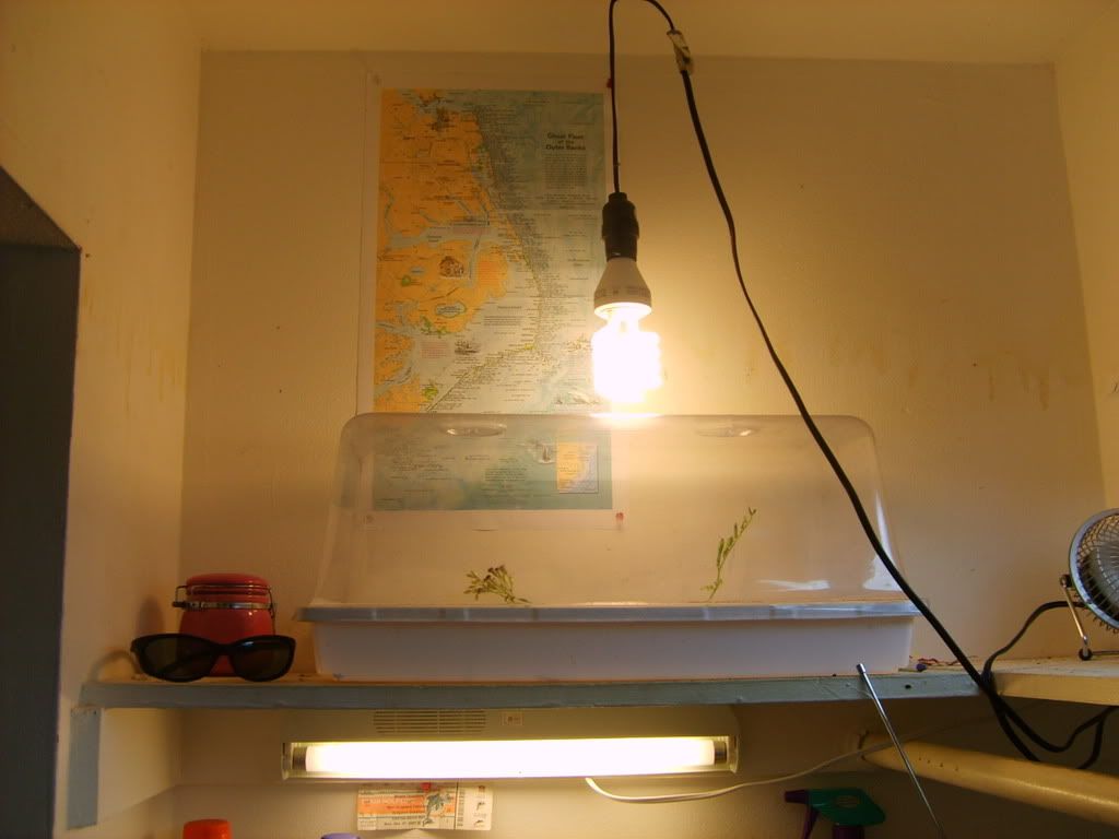 S5000808.jpg
