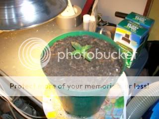 100_0509.jpg